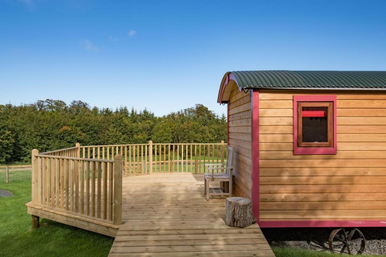 Foxglove Shepherd'S Hut Berwick-upon-Tweed Exterior foto